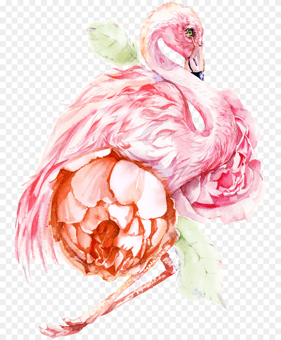 This Graphics Is Hand Painted Flamingo Transparent Portable Network Graphics, Animal, Bird, Flower, Rose Free Png Download