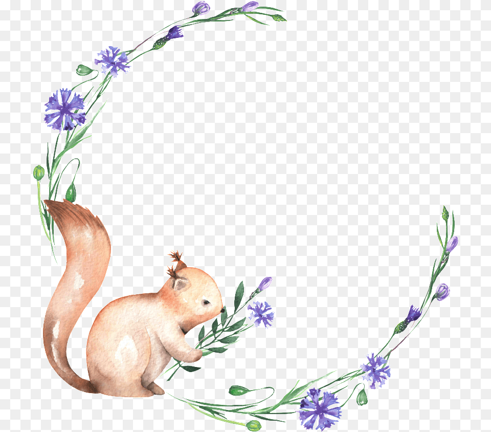 This Graphics Is Hand Painted Smelling Squirrel Squirrel Smelling Flower Clipart, Plant, Flower Arrangement, Animal, Mammal Free Transparent Png