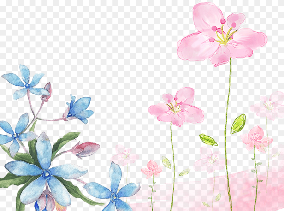 This Graphics Is Hand Painted Watercolor Flowers Decorative Water Color Flower Background, Anemone, Anther, Geranium, Petal Png Image