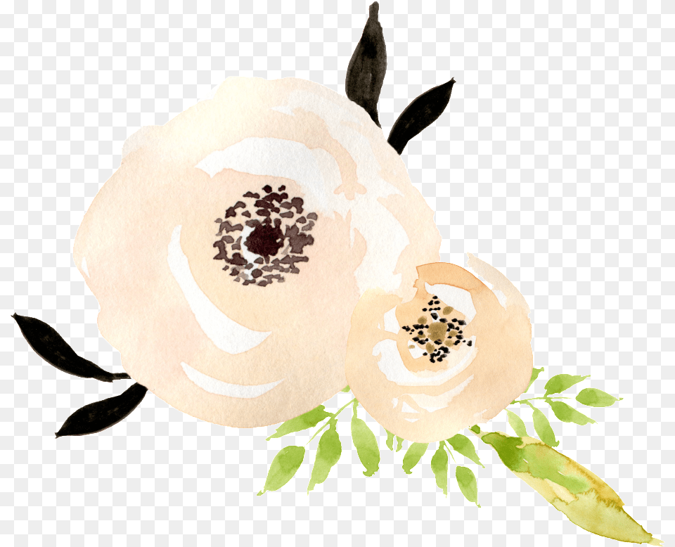 This Graphics Is Milk White Bouquet Transparent Decorative, Art, Plant, Floral Design, Flower Png