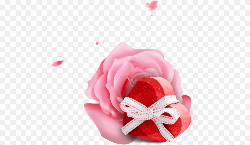 This Graphics Is Pink Flowers And Gifts Valentine39s Rose, Flower, Plant, Petal Png Image