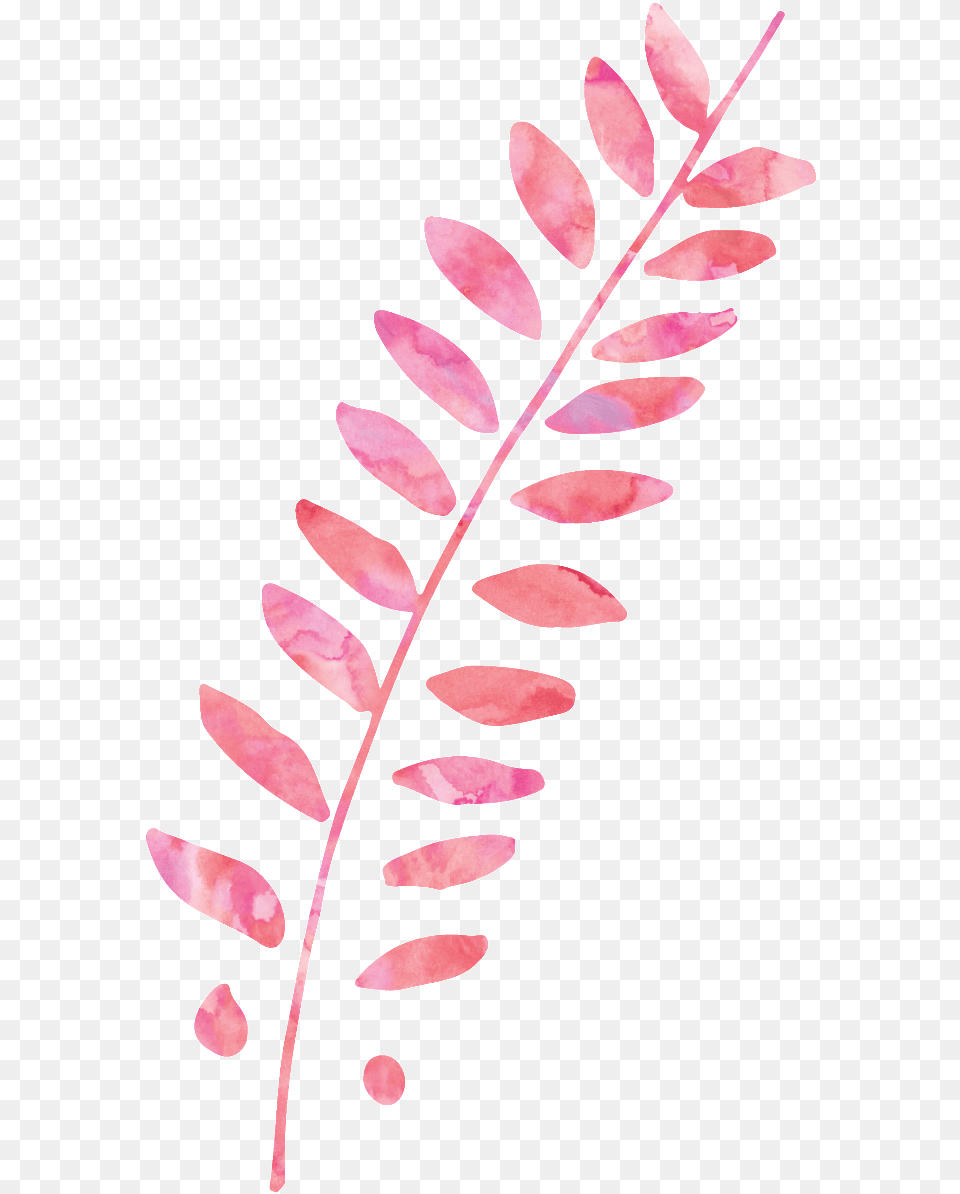 This Graphics Is Pink Plant Cartoon Transparent About Pink, Flower, Leaf, Petal, Art Png