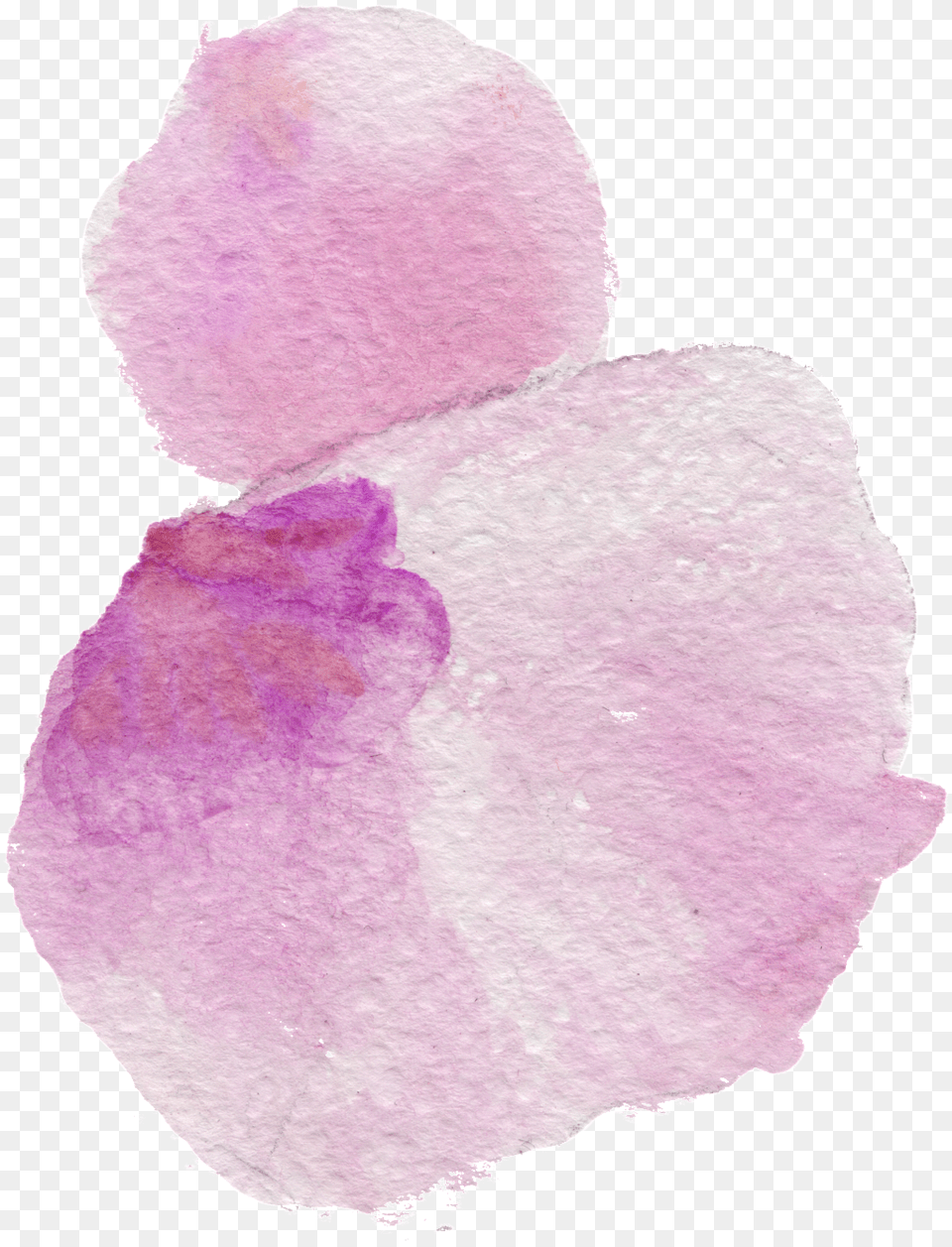This Graphics Is Pollen Petals Cartoon Transparent Petal, Flower, Plant, Stain, Geranium Png