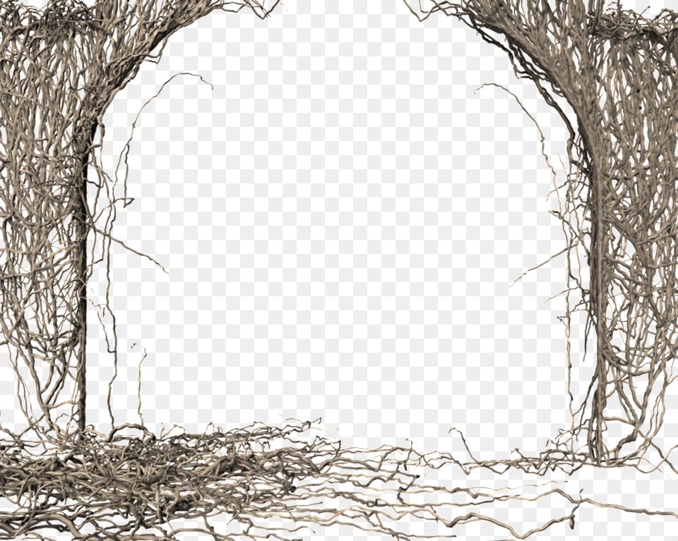 This Graphics Is Tree Door Frame Transparent About Broken Wings 3d Transparent, Plant, Root Free Png