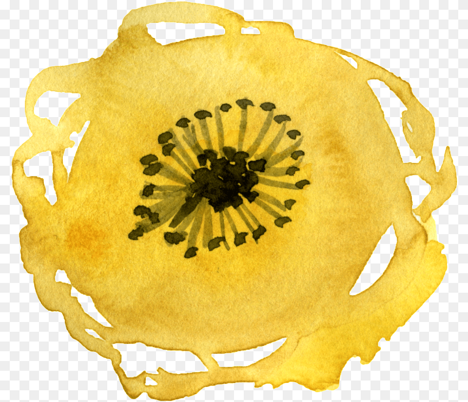 This Graphics Is Watercolor Yellow Flower About Portable Network Graphics, Plant, Pollen, Person, Face Free Png