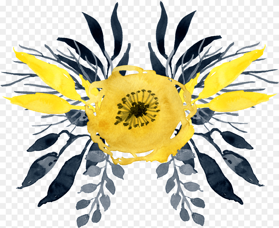 This Graphics Is Watercolor Yellow Flower About Watercolor Watercolour Yellow Flowers, Plant, Pattern, Petal, Floral Design Png
