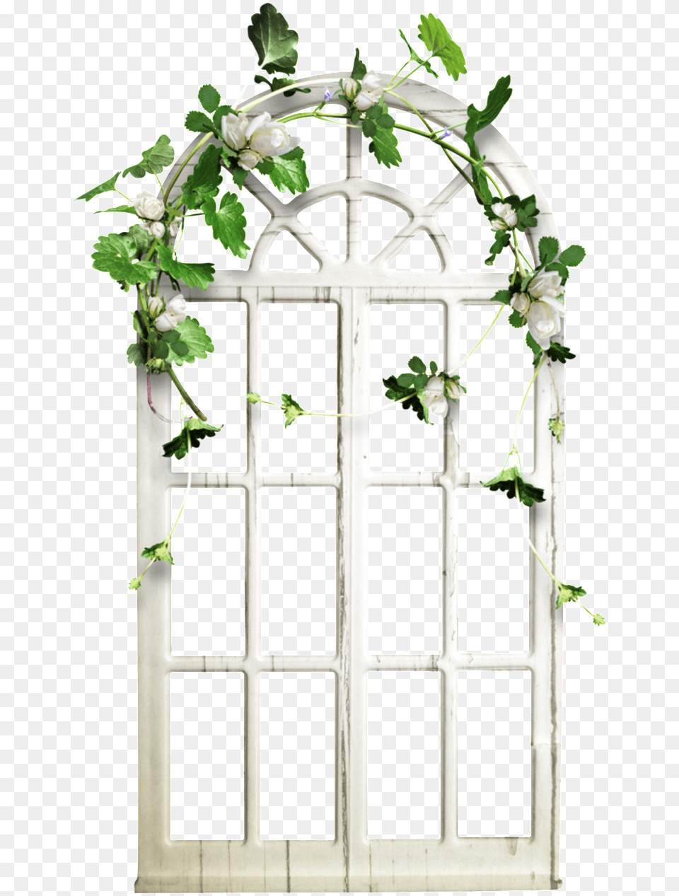 This Graphics Is White Door Frame Transparent About, Plant, Vine, Window, Gate Free Png Download