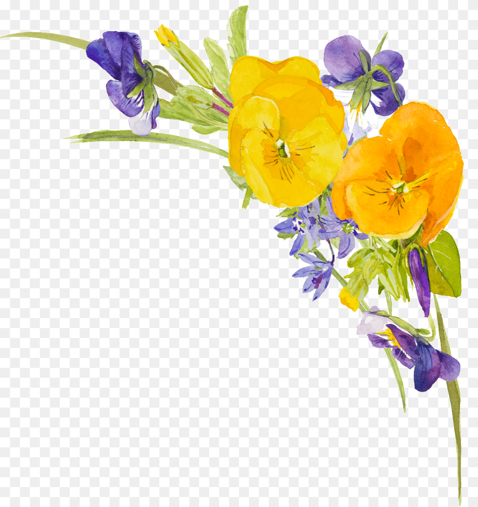 This Graphics Is Yellow Flower Plant Watercolor Hand Watercolor Painting, Flower Arrangement, Flower Bouquet, Petal, Rose Png