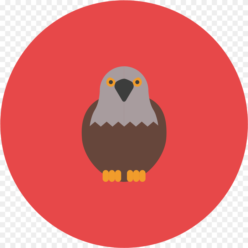 This Icon Represents A Falcon Hawk, Animal, Bird, Beak, Eagle Png