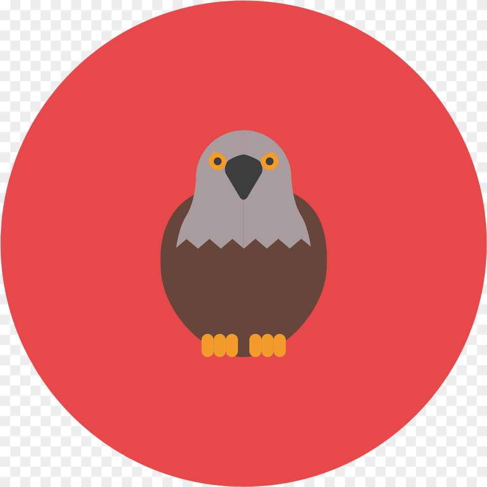 This Icon Represents A Falcon Wild Boar, Animal, Bird, Beak, Eagle Png Image