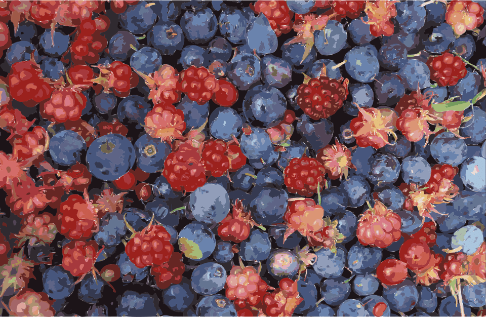 This Icons Design Of Alaska Wild Berries, Berry, Blueberry, Food, Fruit Free Png Download