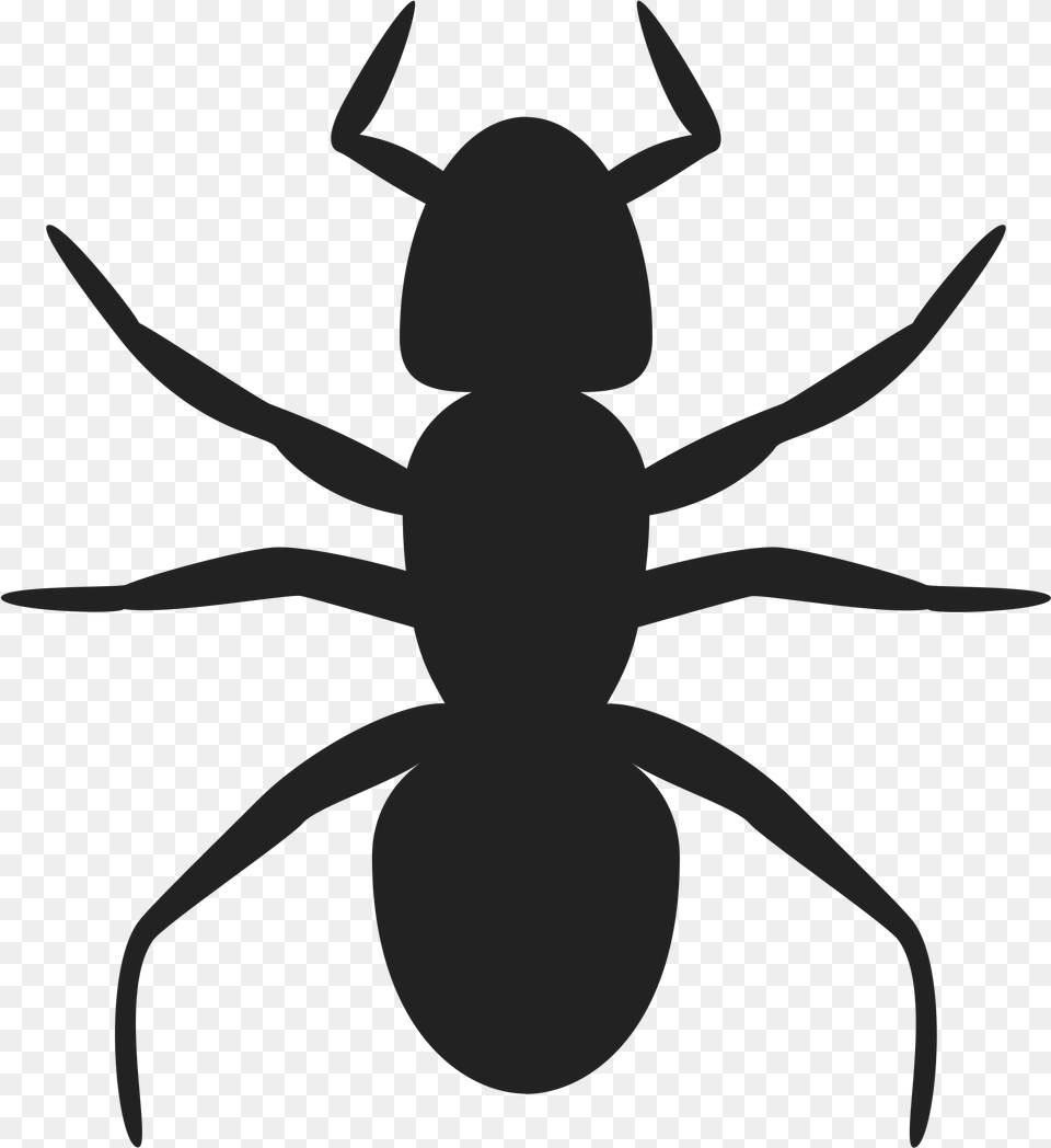 This Icons Design Of Ant Icon, Animal, Insect, Invertebrate, Fish Free Png Download