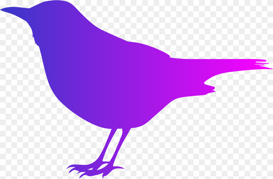 This Icons Design Of Blackbird With Color, Animal, Bird, Person Free Transparent Png