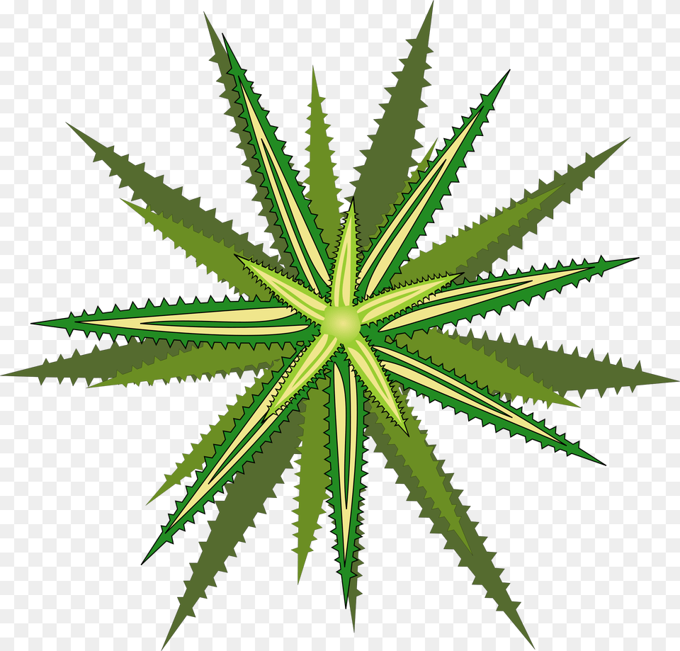 This Icons Design Of Bromelia, Leaf, Plant, Green Png Image