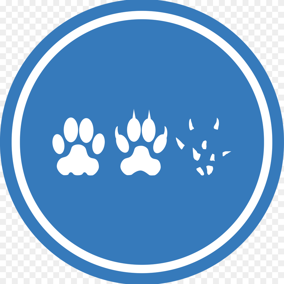 This Icons Design Of Cat Dog Mouse Unification, Nature, Outdoors, Sky, Snow Free Png Download