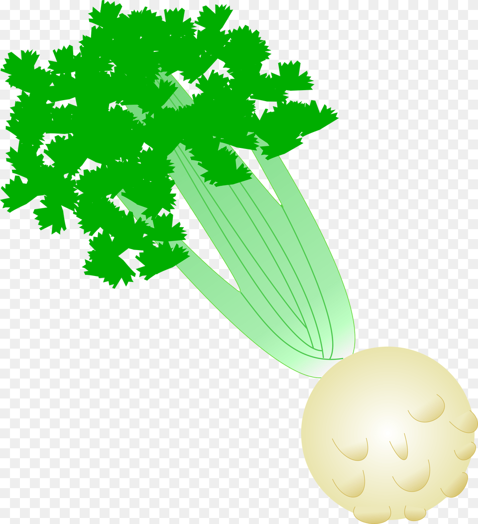 This Icons Design Of Celery With Root, Herbs, Plant, Parsley, Food Free Png Download