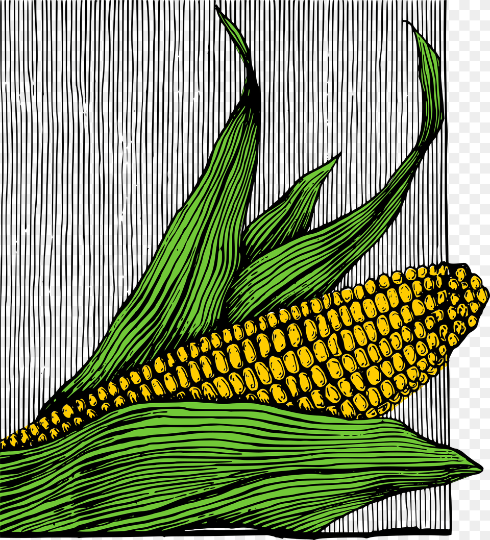 This Icons Design Of Corn On The Cob, Food, Grain, Plant, Produce Free Png Download