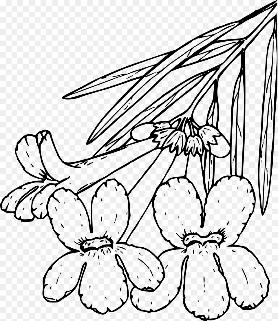 This Icons Design Of Desert Willow, Gray Free Png