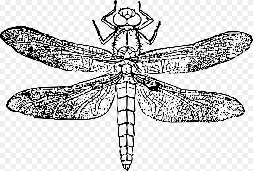 This Icons Design Of Dragon Fly, Gray Free Png Download