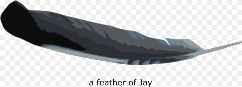 This Icons Design Of Feather Of Jay Illustration, Animal, Mammal, Sea Life, Whale Free Transparent Png