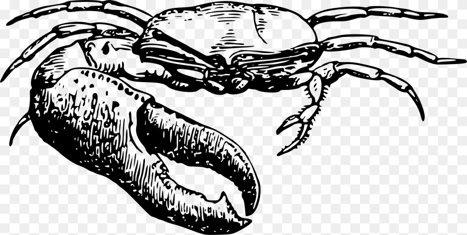 This Icons Design Of Fiddler Crab, Gray Free Png