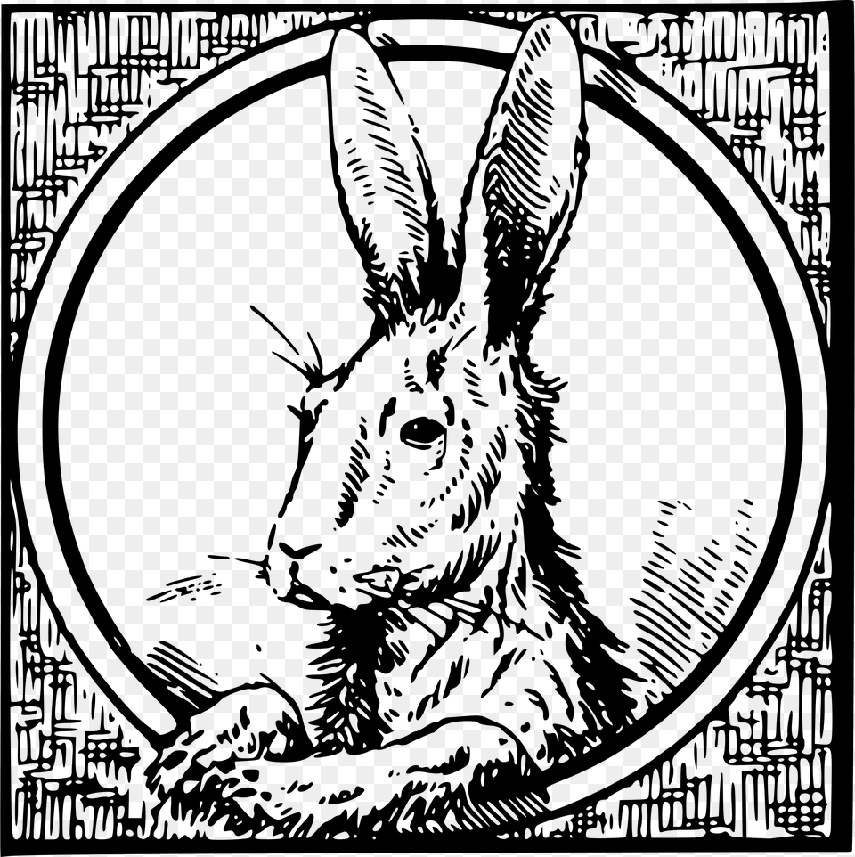 This Icons Design Of Framed Hare, Gray Png Image