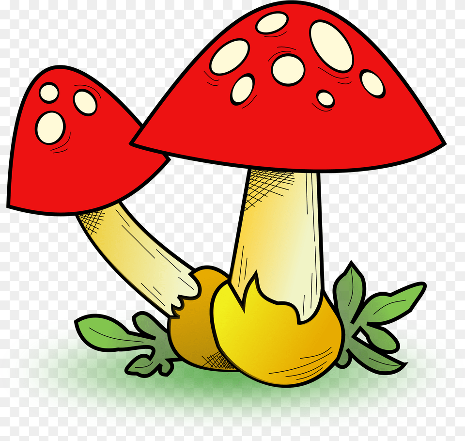This Icons Design Of Fungal Forest, Fungus, Mushroom, Plant, Agaric Png
