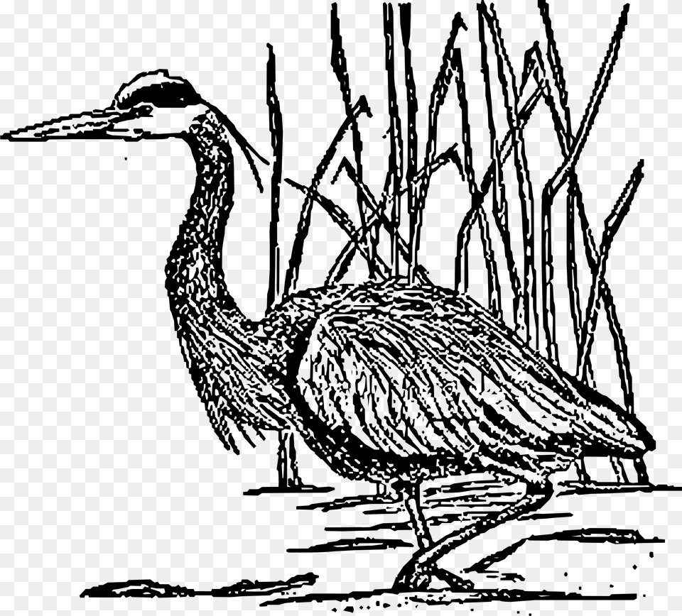 This Icons Design Of Great Blue Heron, Gray Free Png