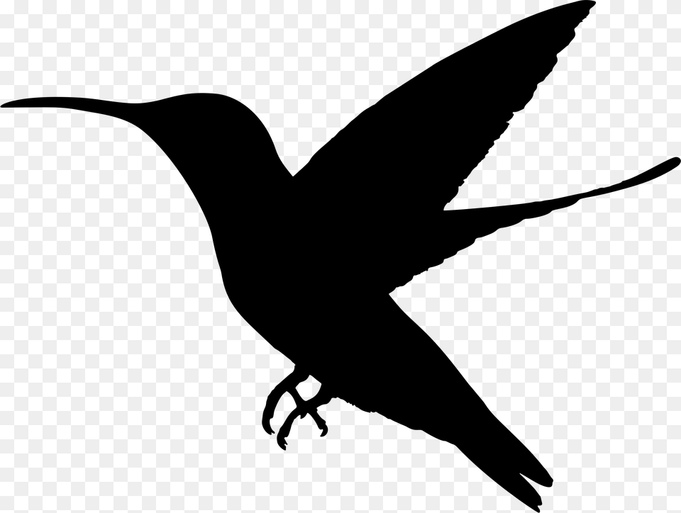 This Icons Design Of Hummingbird Silhouette, Gray Free Png Download