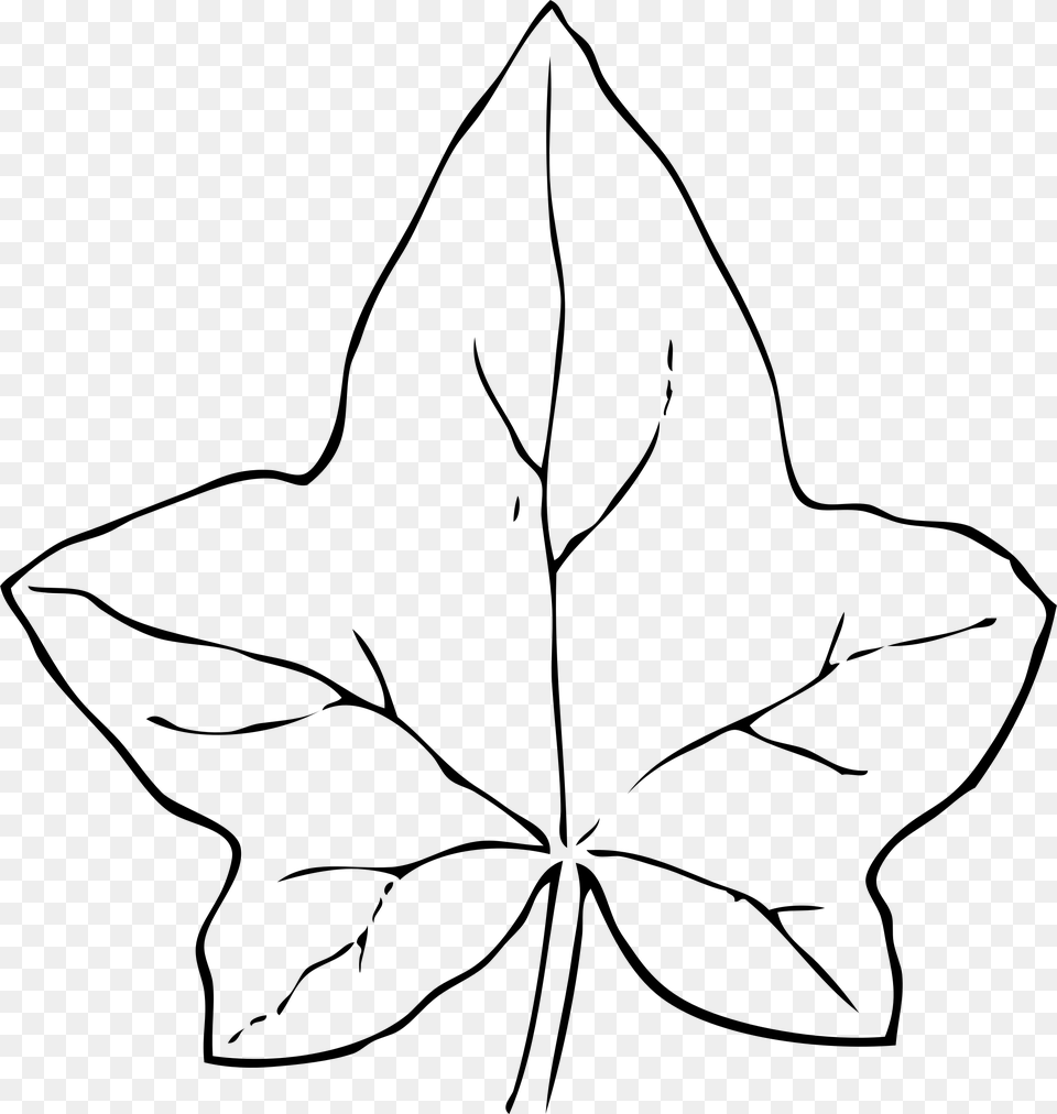This Icons Design Of Ivy Leaf, Gray Free Transparent Png