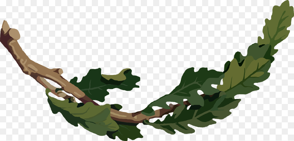 This Icons Design Of Oak Branch Oak Tree Branch Clipart, Leaf, Plant, Vegetation, Person Free Transparent Png