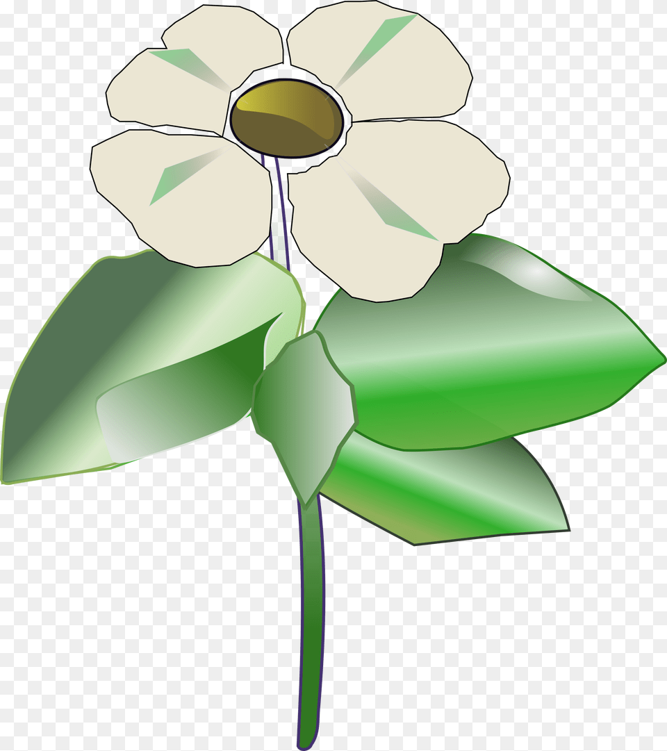 This Icons Design Of Pacific Dogwood, Anemone, Daisy, Flower, Leaf Free Png
