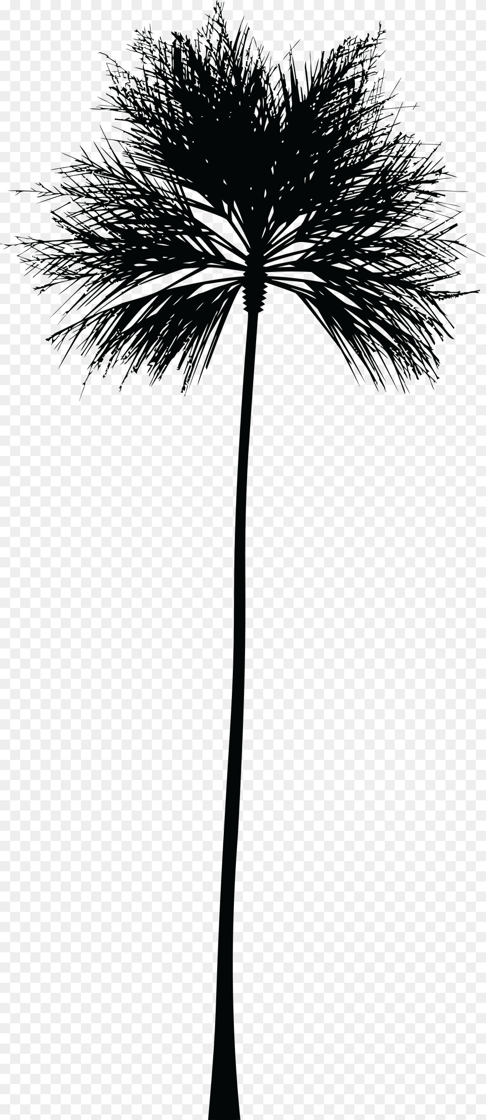 This Icons Design Of Palm Tree Silhouette, Cross, Flower, Plant, Symbol Free Png