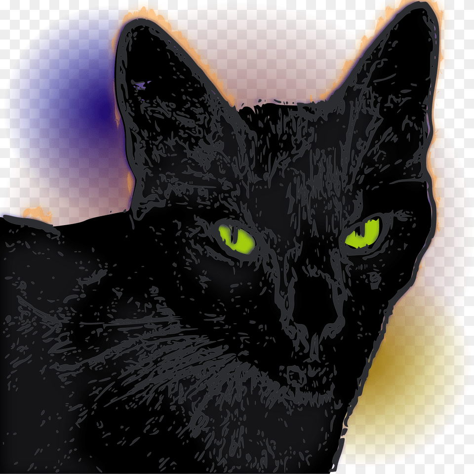This Icons Design Of Pandora Gata Negra, Animal, Black Cat, Cat, Mammal Free Png