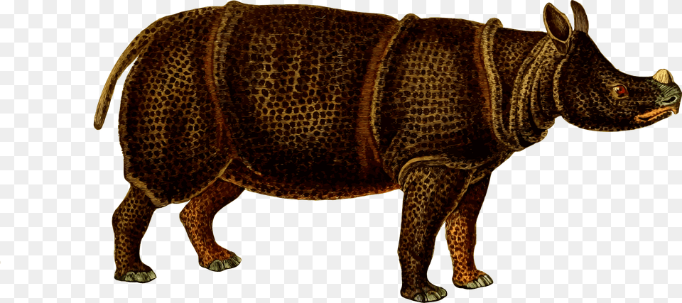 This Icons Design Of Rhinoceros, Animal, Bear, Mammal, Wildlife Free Png Download
