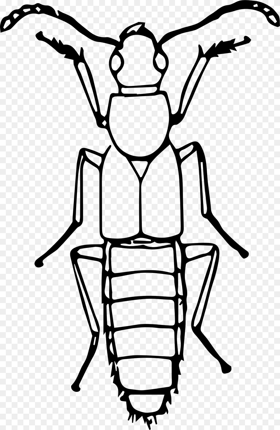 This Icons Design Of Rove Beetle, Gray Png Image