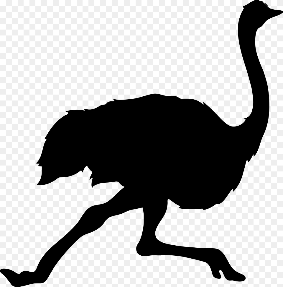 This Icons Design Of Running Ostrich Silhouette, Gray Png