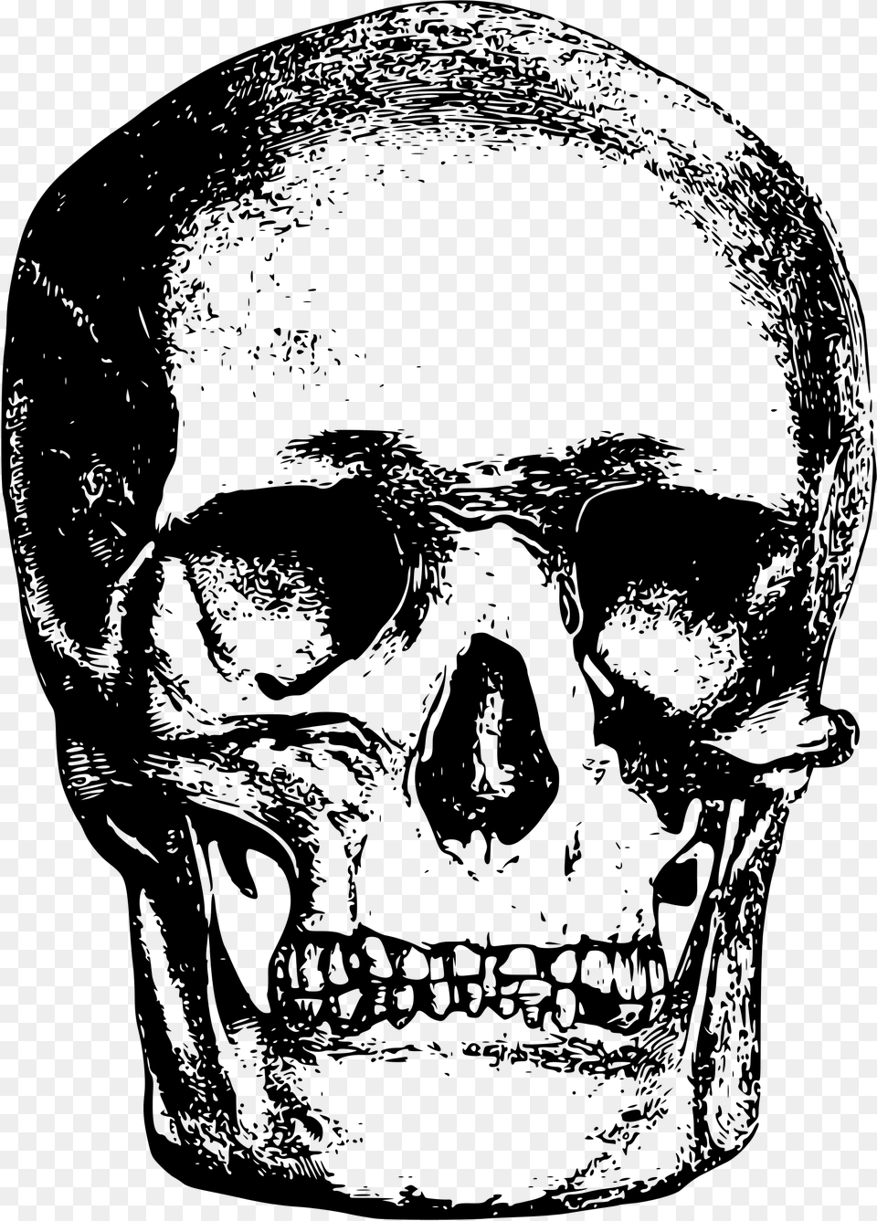 This Icons Design Of Skull, Gray Free Transparent Png