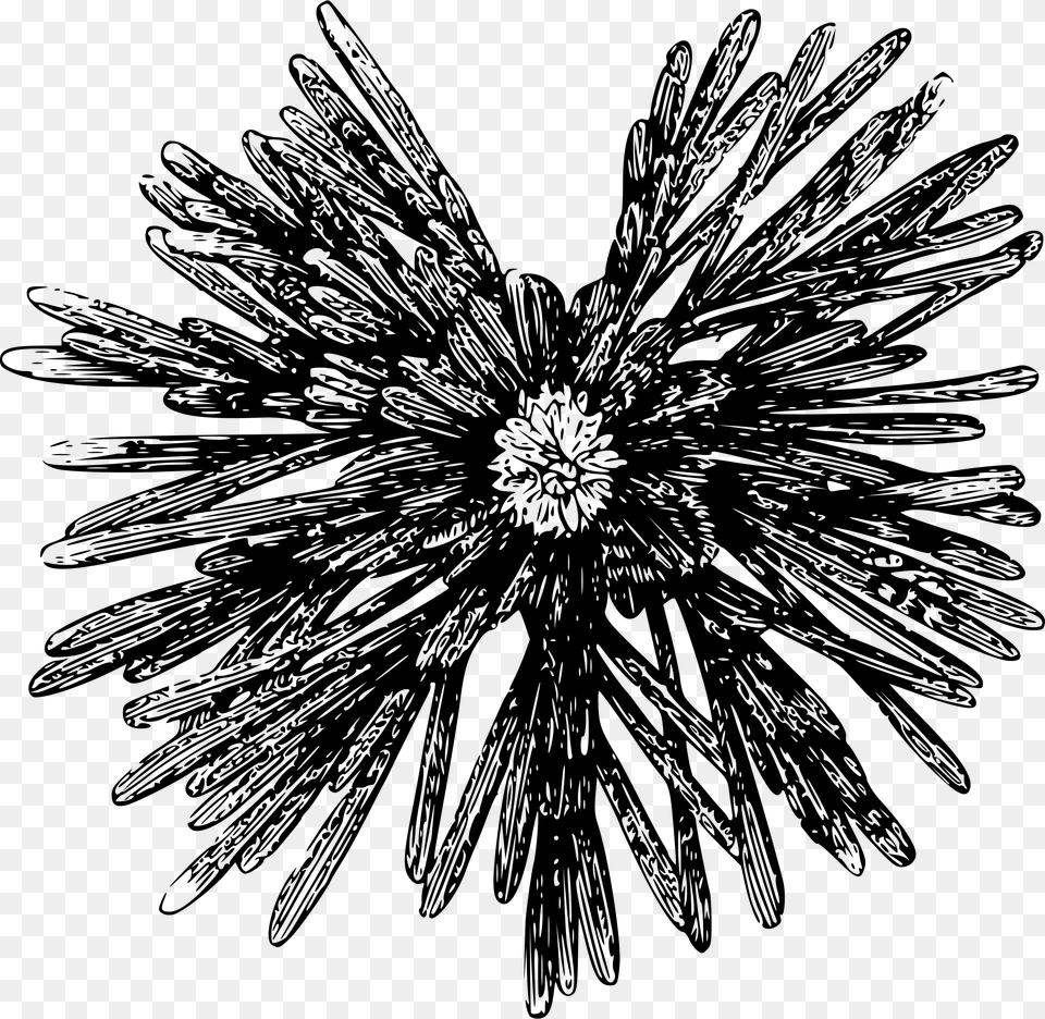 This Icons Design Of Small Sea Urchin, Gray Free Png