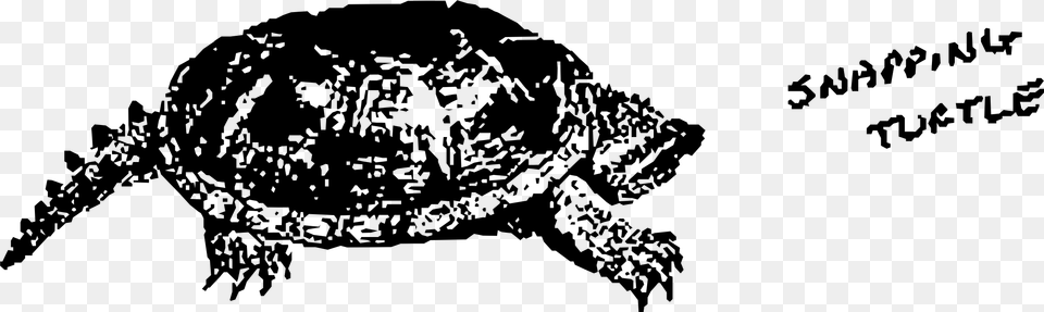 This Icons Design Of Snapping Turtle, Gray Free Transparent Png