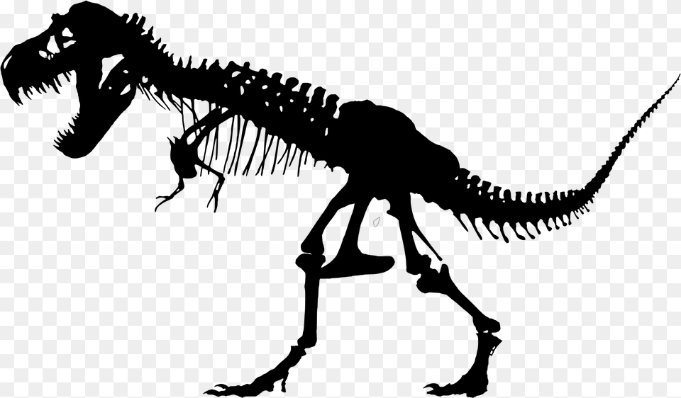 This Icons Design Of T Rex Skeleton, Gray Png