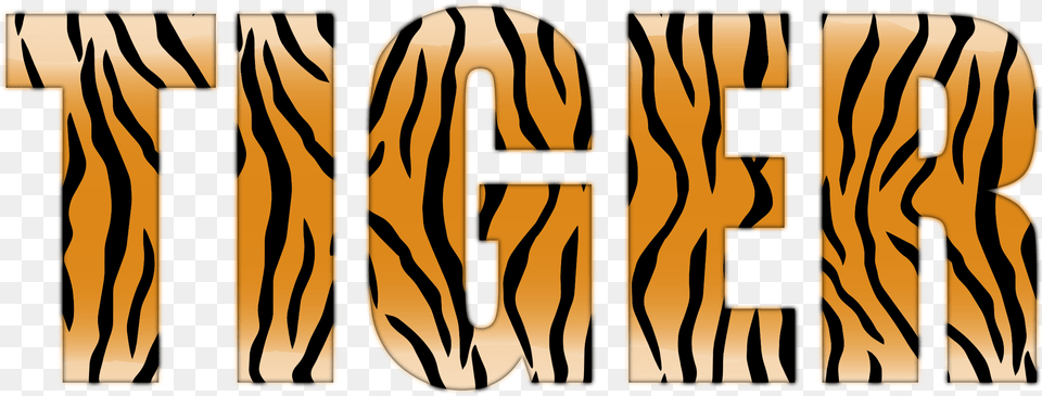 This Icons Design Of Tiger Typography Tiger, Art, Modern Art, Publication, Book Free Transparent Png