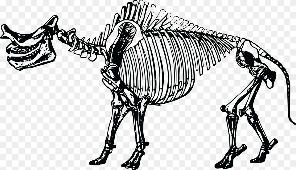 This Icons Design Of Titanotherium Skeleton Fossil Fuel Bones Png Image