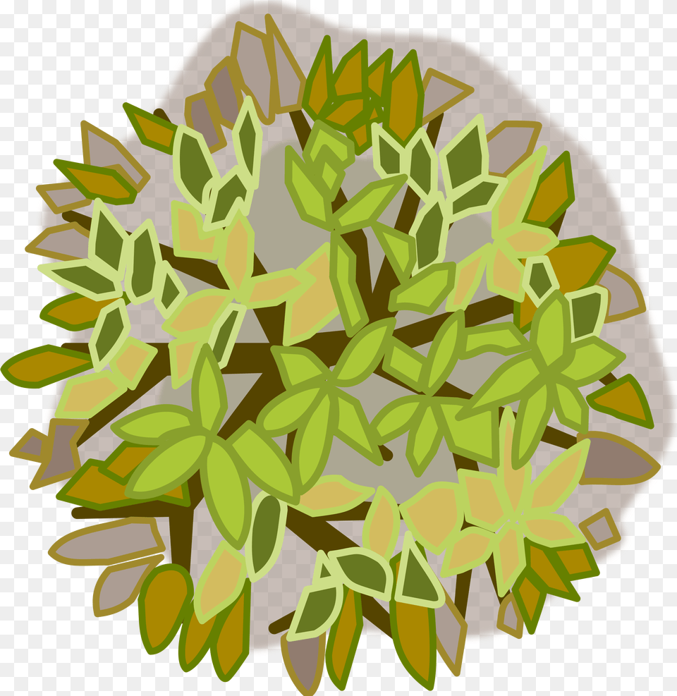 This Icons Design Of Tree Top View, Art, Plant, Moss, Leaf Png