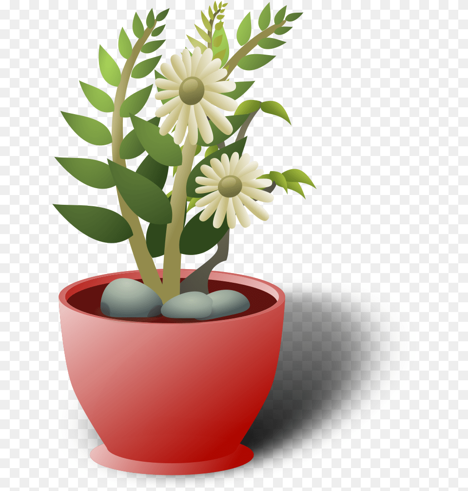 This Icons Design Of White Flower Pot, Daisy, Flower Arrangement, Potted Plant, Plant Png Image