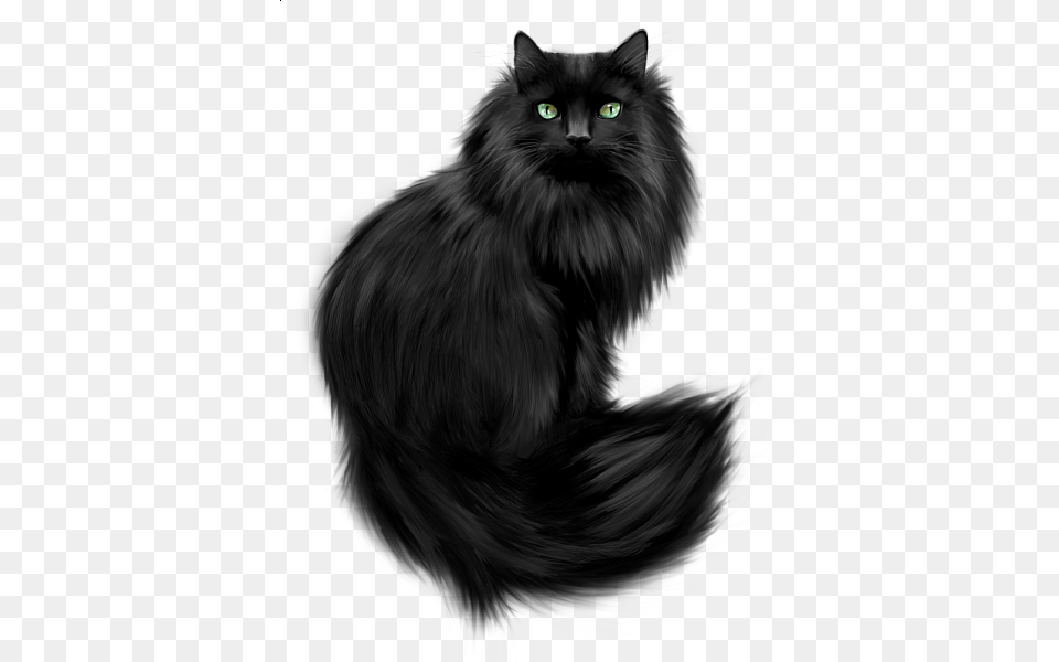 This Cant Touch This Greeting Cards, Animal, Black Cat, Cat, Mammal Png Image