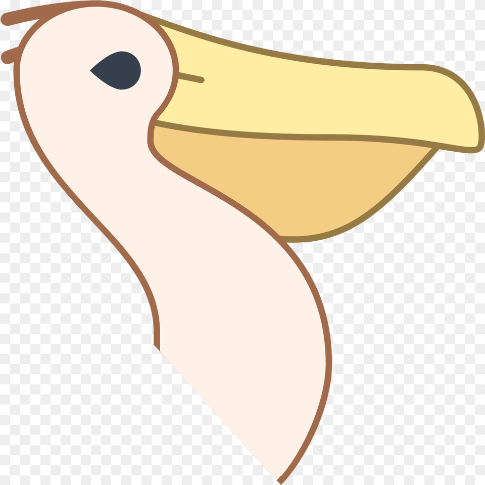This Image Is Of The Head And Neck Of A Pelican, Animal, Bird, Beak, Waterfowl Png