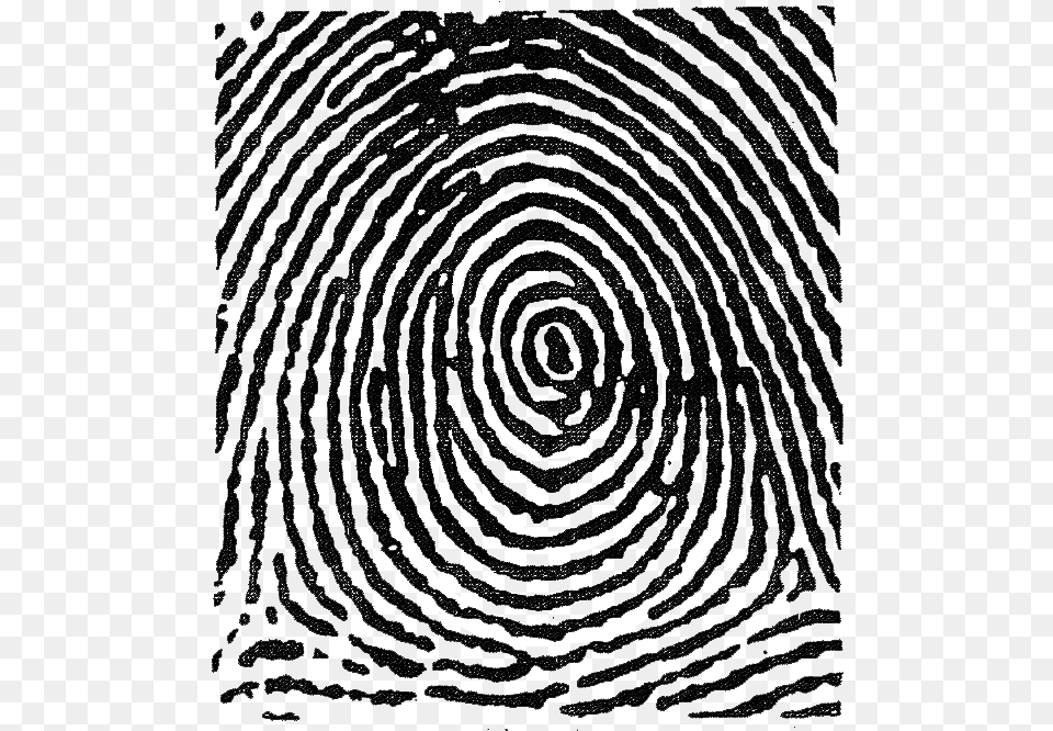 This Used For Decorative Purposes Only Plain Whorl Fingerprint, Coil, Spiral, Person Png Image