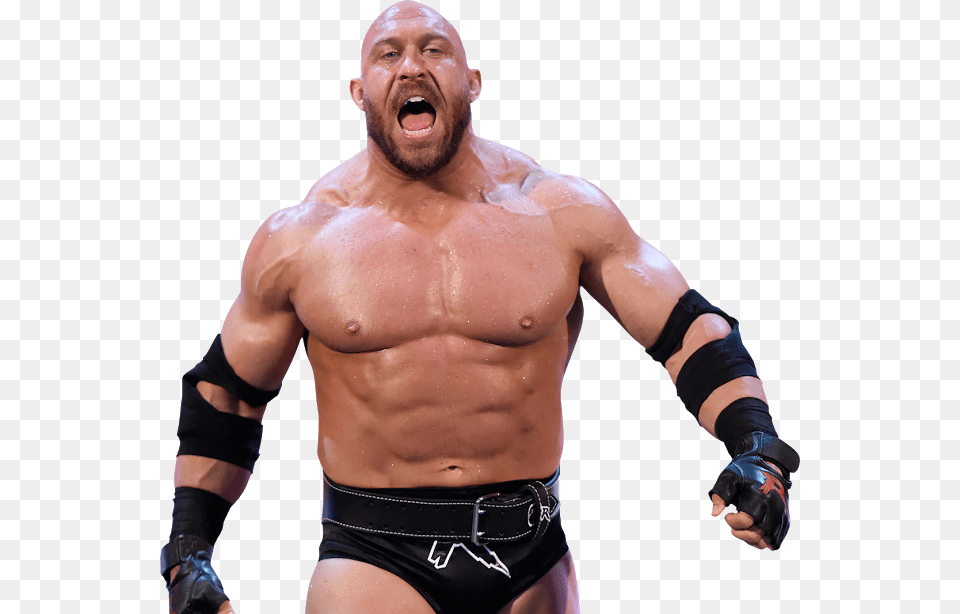 This Is A Background Free It Doesn T Contain Wwe Ryback, Adult, Person, Man, Male Png Image