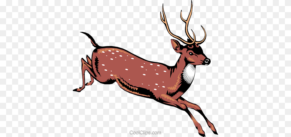 This Is A Deer Royalty Free Vector Clip Art Illustration, Animal, Elk, Mammal, Wildlife Png